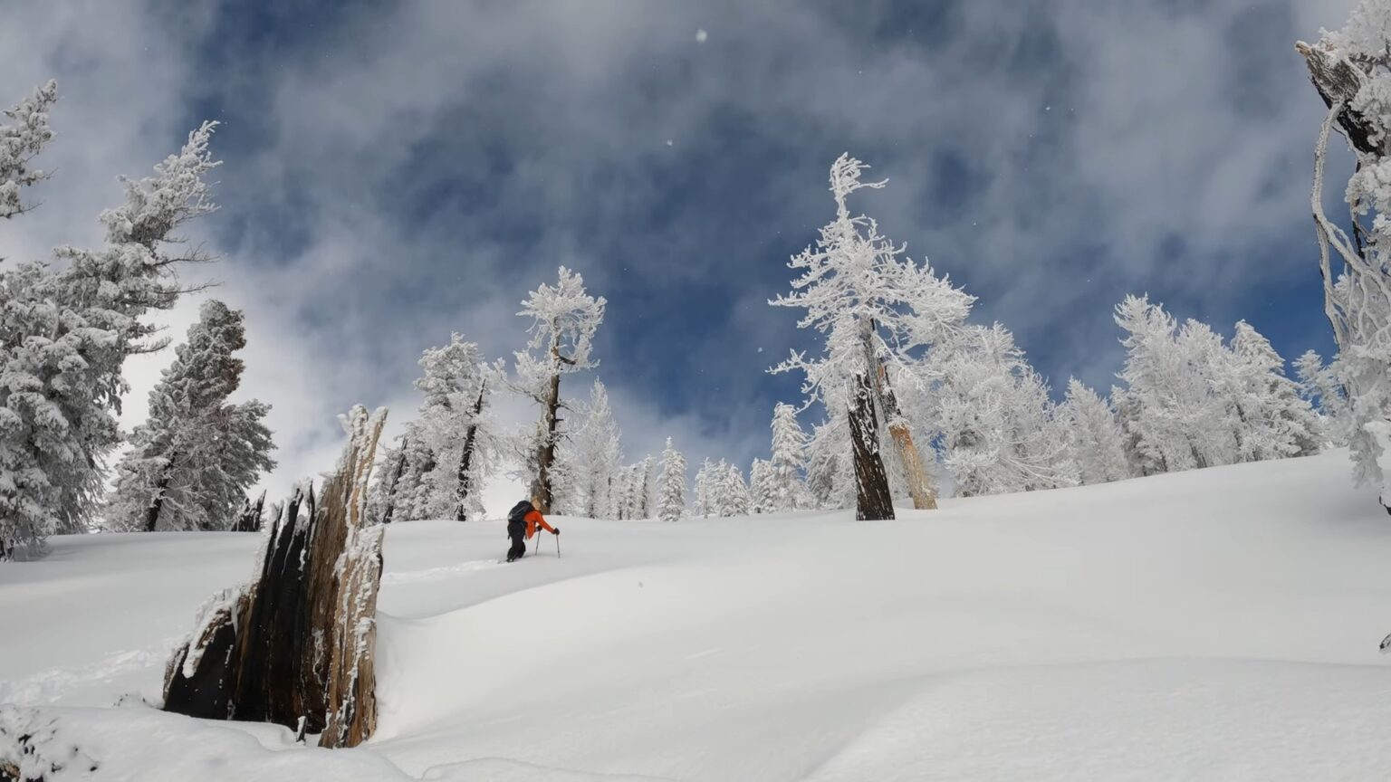 How Much Snow Did Tahoe Get The Latest Totals and Forecast